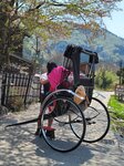 30042025_Samsung Galaxy Note 20 Ultra_Tour to Tateyama_Gifuken Shirakawago00143
