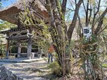 30042025_Samsung Galaxy Note 20 Ultra_Tour to Tateyama_Gifuken Shirakawago00152