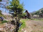 3042025_Samsung Galaxy Note 20 Ultra_Tour to Tateyama_Gifuken Shirakawago00159