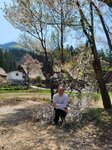 30042025_Samsung Galaxy Note 20 Ultra_Tour to Tateyama_Gifuken Shirakawago00167