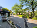 30042025_Samsamg Galaxy Note 20 Ultra_Tour to Tateyama_Ishikawaken_Kanezawashi_Kenrokuen00001
