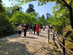 30042025_Samsamg Galaxy Note 20 Ultra_Tour to Tateyama_Ishikawaken_Kanezawashi_Kenrokuen00008