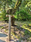 30042025_Samsamg Galaxy Note 20 Ultra_Tour to Tateyama_Ishikawaken_Kanezawashi_Kenrokuen00012