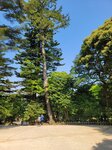 30042025_Samsamg Galaxy Note 20 Ultra_Tour to Tateyama_Ishikawaken_Kanezawashi_Kenrokuen00045