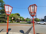 30042025_Samsamg Galaxy Note 20 Ultra_Tour to Tateyama_Ishikawaken_Kanezawashi_Kenrokuen00079