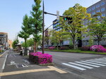 30042025_Samsamg Galaxy Note 20 Ultra_Tour to Tateyama_Ishikawaken_Kanezawashi Morning00008