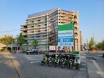 30042025_Samsamg Galaxy Note 20 Ultra_Tour to Tateyama_Ishikawaken_Kanezawashi Morning00024