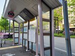 30042025_Samsamg Galaxy Note 20 Ultra_Tour to Tateyama_Ishikawaken_Kanezawashi Morning00034