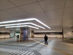 30042025_Samsamg Galaxy Note 20 Ultra_Tour to Tateyama_Ishikawaken_Kanezawashi Morning00056