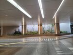 30042025_Samsamg Galaxy Note 20 Ultra_Tour to Tateyama_Ishikawaken_Kanezawashi Morning00057