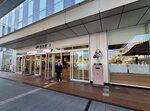 30042025_Samsamg Galaxy Note 20 Ultra_Tour to Tateyama_Ishikawaken_Kanezawashi Morning00066