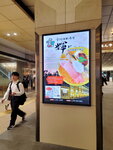 30042025_Samsamg Galaxy Note 20 Ultra_Tour to Tateyama_Ishikawaken_Kanezawashi Morning00073