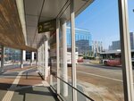 30042025_Samsamg Galaxy Note 20 Ultra_Tour to Tateyama_Ishikawaken_Kanezawashi Morning00078