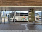 30042025_Samsamg Galaxy Note 20 Ultra_Tour to Tateyama_Ishikawaken_Kanezawashi Morning00080