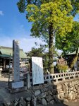 01052025_Samsamg Galaxy Note 20 Ultra_Tour to Tateyama_Aichiken_Inuyamashi_Inuyamajo00042