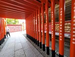 01052025_Samsamg Galaxy Note 20 Ultra_Tour to Tateyama_Aichiken_Inuyamashi_Inuyamajo00051