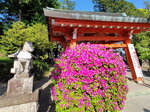 01052025_Samsamg Galaxy Note 20 Ultra_Tour to Tateyama_Aichiken_Inuyamashi_Inuyamajo00063
