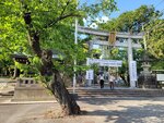 01052025_Samsamg Galaxy Note 20 Ultra_Tour to Tateyama_Aichiken_Inuyamashi_Inuyamajo00065