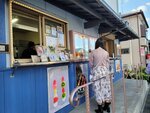 01052025_Samsamg Galaxy Note 20 Ultra_Tour to Tateyama_Aichiken_Inuyamashi_Inuyamajo00079