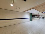 02052025_Samsamg Galaxy Note 20 Ultra_Tour to Tateyama_Aichiken_Nagoya Morning00014