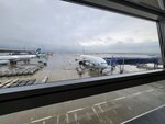 02052025_Samsang Galaxy Note 20 Ultra_Tour to Tateyama_Aichiken_Nagoya International Airport00006