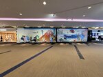 02052025_Samsang Galaxy Note 20 Ultra_Tour to Tateyama_Aichiken_Nagoya International Airport00012