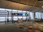 02052025_Samsang Galaxy Note 20 Ultra_Tour to Tateyama_Aichiken_Nagoya International Airport00014