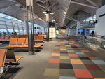 02052025_Samsang Galaxy Note 20 Ultra_Tour to Tateyama_Aichiken_Nagoya International Airport00017