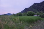 28042025_Sony A6000_Tour to Tateyama_Gifu Ken Morning00016