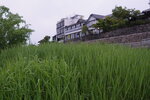 28042025_Sony A6000_Tour to Tateyama_Gifu Ken Morning00036
