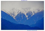 28042025_Sony A6000_Tour to Tateyama_Naganoken_Azuminoshi_Daiowasabi Noujo00018