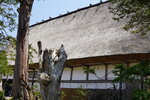 30042025_Sony A6000_Tour to Tateyama_Gifuken_Shirakawago00025