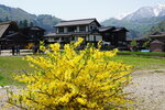 30042025_Sony A6000_Tour to Tateyama_Gifuken_Shirakawago00070