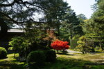 30042025_Sony A6000_Tour to Tateyama_Ishikawaken_Kanezawashi_Kenrokuen00067