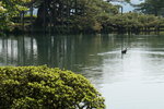 30042025_Sony A6000_Tour to Tateyama_Ishikawaken_Kanezawashi_Kenrokuen00074