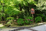 01052025_Sony A6000_Tour to Tateyama_Inuyamajo00012