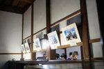 01052025_Sony A6000_Tour to Tateyama_Inuyamajo00033