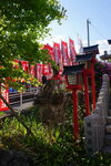 01052025_Sony A6000_Tour to Tateyama_Inuyamajo00094