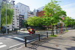01052025_Sony A6000_Tour to Tateyama_Nagoyashi_Nagoya Morning00054