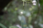 IMG_2160