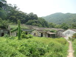 Hiking 9Sep Tai Po - Tai Wo 069