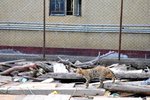 DSC_4402a