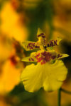 DSC_6256a