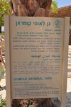 昆蘭地區(Khirbet Qumran)一座洞穴裡發現"死海古卷"