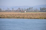 DSC_3676