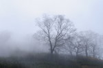 DSC_0126