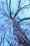 DSC_0161a