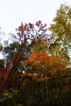 DSC_0459a