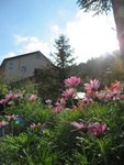 IMG_3910