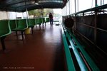 DSC_5578a